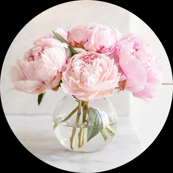 beautycloset125